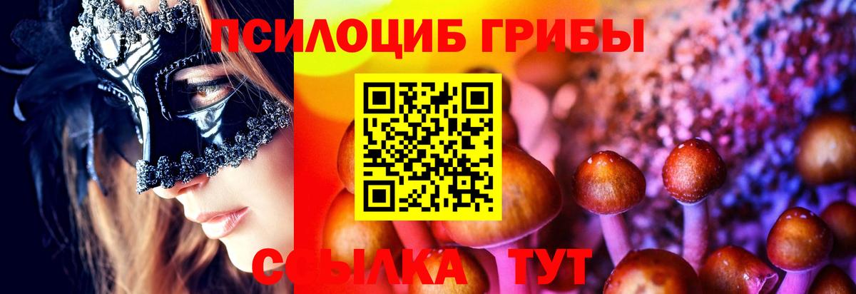 Псилоцибиновые грибы GOLDEN TEACHER Мариинск